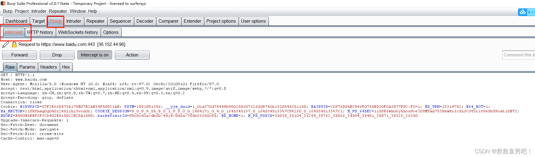 BurpSuite安装和基础使用教程(已破解)