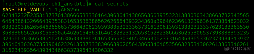 网络自动化之一:Ansible模块的构建