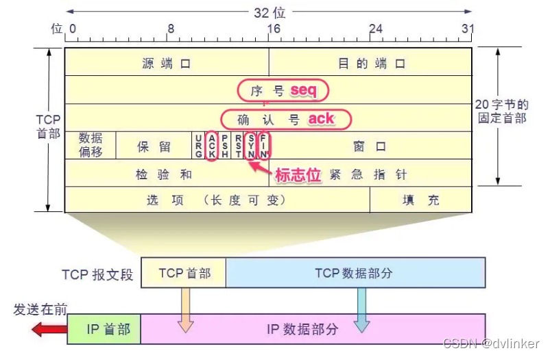 【网络入门】详解常用的基础网络知识（面试笔试常考内容）