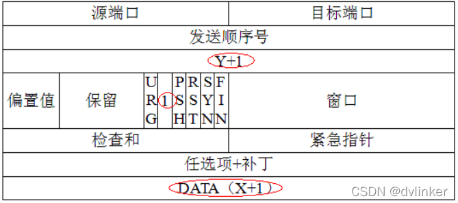 【网络入门】详解常用的基础网络知识（面试笔试常考内容）