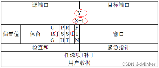 【网络入门】详解常用的基础网络知识（面试笔试常考内容）