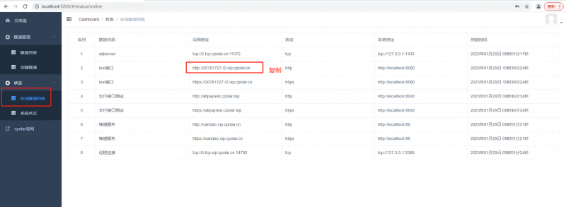 springboot服务端接口公网远程调试,并实现HTTP服务监听