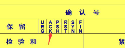 计网传输层协议:UDP和TCP