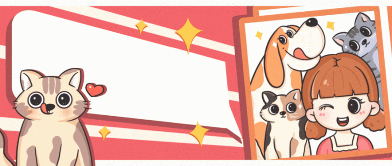 HTTP、TCP、Socket和WebSocket的区别和联系